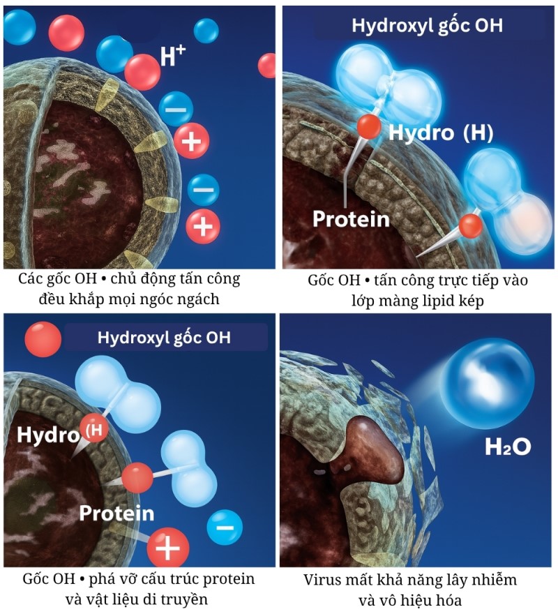 Công nghệ Hydroxyl, nghiên cứu và ứng dụng trong men sứ INAX, đã tạo ra bước đột phá trong việc ngăn cặn bám sâu, giúp sản phẩm duy trì vẻ ngoài nguyên bản và tăng tuổi thọ sử dụng