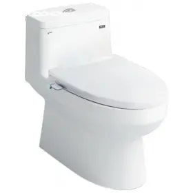 Bồn cầu 1 khối INAX AC-939+CW-S32VN/BW1