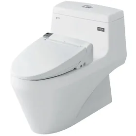 Bồn cầu INAX AC-1035+CW-KA22AVN/BW1