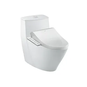 Bồn cầu 1 khối INAX AC-919R+CW-H18VN/BW1