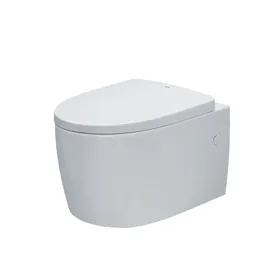 Bồn cầu treo tường INAX AC-952VN/BW1