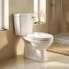 Bồn cầu 2 khối INAX C-117VA chính hãng INAX không gian 2