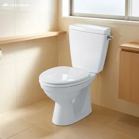 Bồn cầu 2 khối INAX C-117VAN