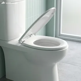 Nắp bồn cầu INAX CF-57AKV - Ảnh 1