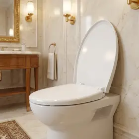 Nắp bồn cầu INAX CF-57AKV - Ảnh 3