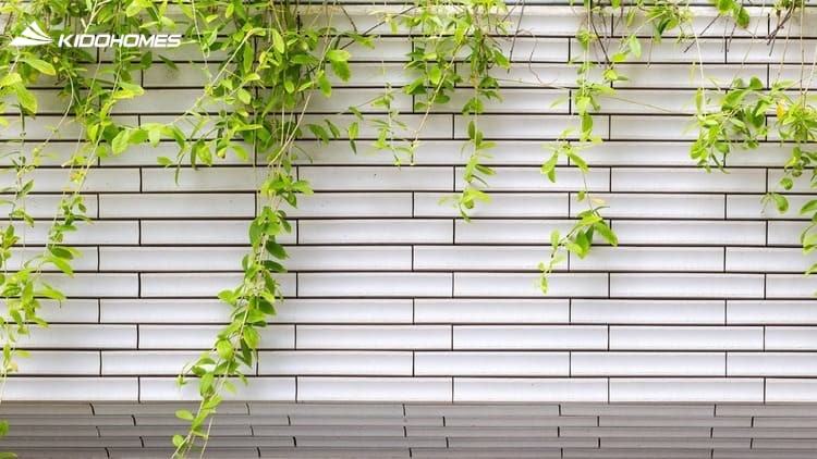 Mệnh Thổ chọn gạch màu chủ đạo be kem