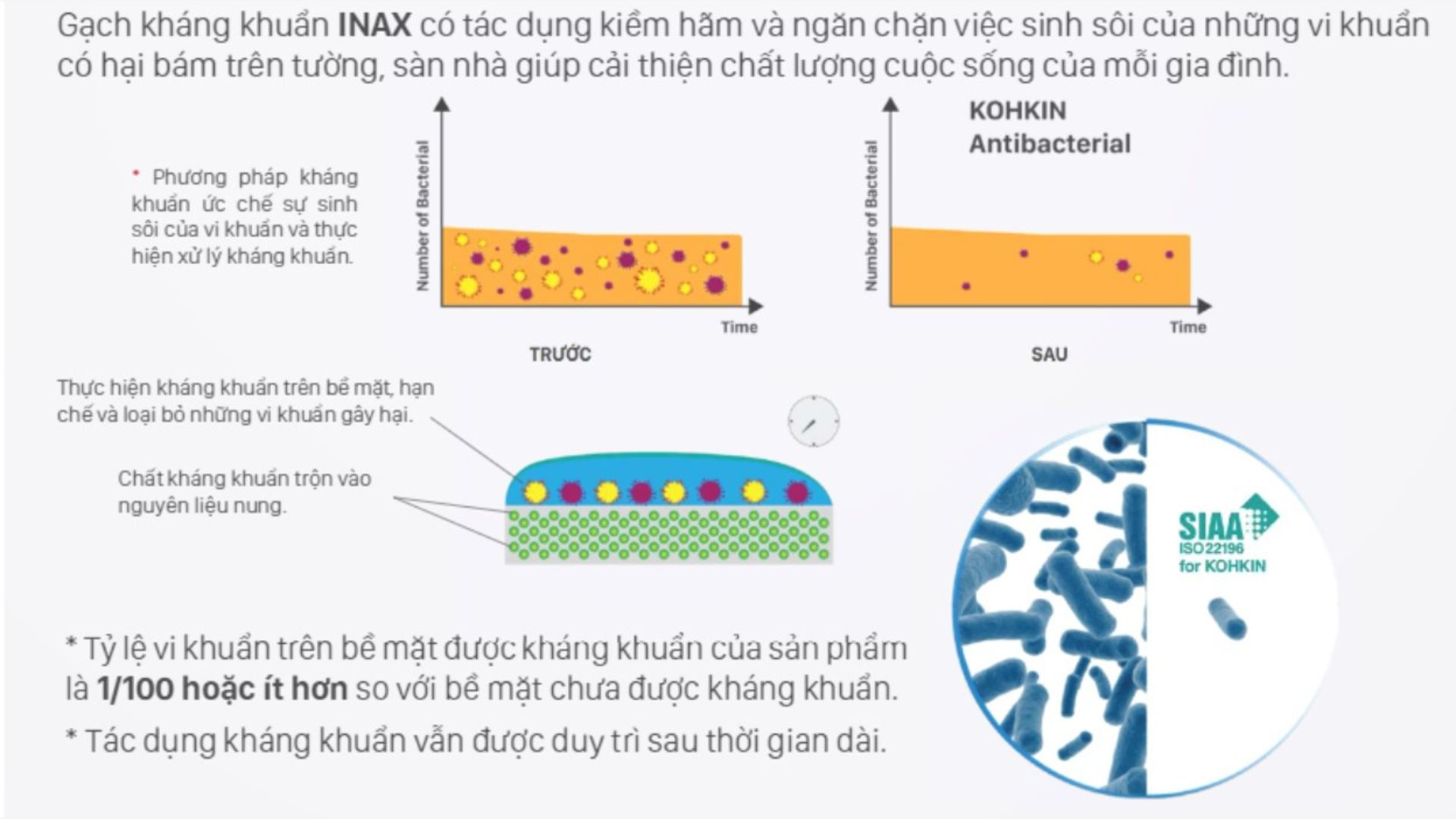 Gạch Inax có khả năng kháng khuẩn