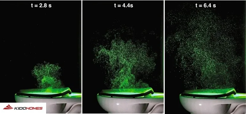 Không ngồi trực tiếp lên bồn cầu để tránh lây nhiễm vi khuẩn, virus