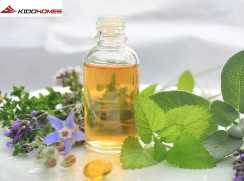 Mẹo làm sạch phòng tắm trong 1 phút: Bí quyết cho không gian luôn sạch sẽ, thơm tho 7 Sử dụng hương liệu tự nhiên để phòng tắm luôn thơm