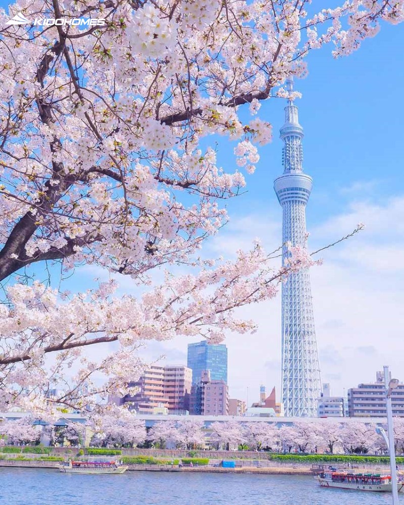 Tháp Tokyo Skytree: công trình biểu tượng kiến trúc Nhật Bản kết hợp truyền thống và hiện đại