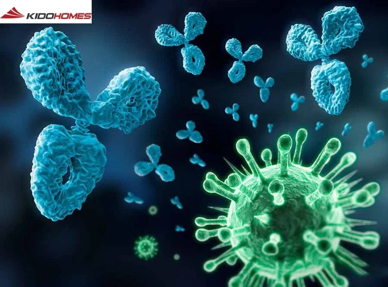 Vì sao nên đậy nắp bồn cầu trước khi xả nước? 2 Vì sao nên đậy nắp bồn cầu trước khi xả nước